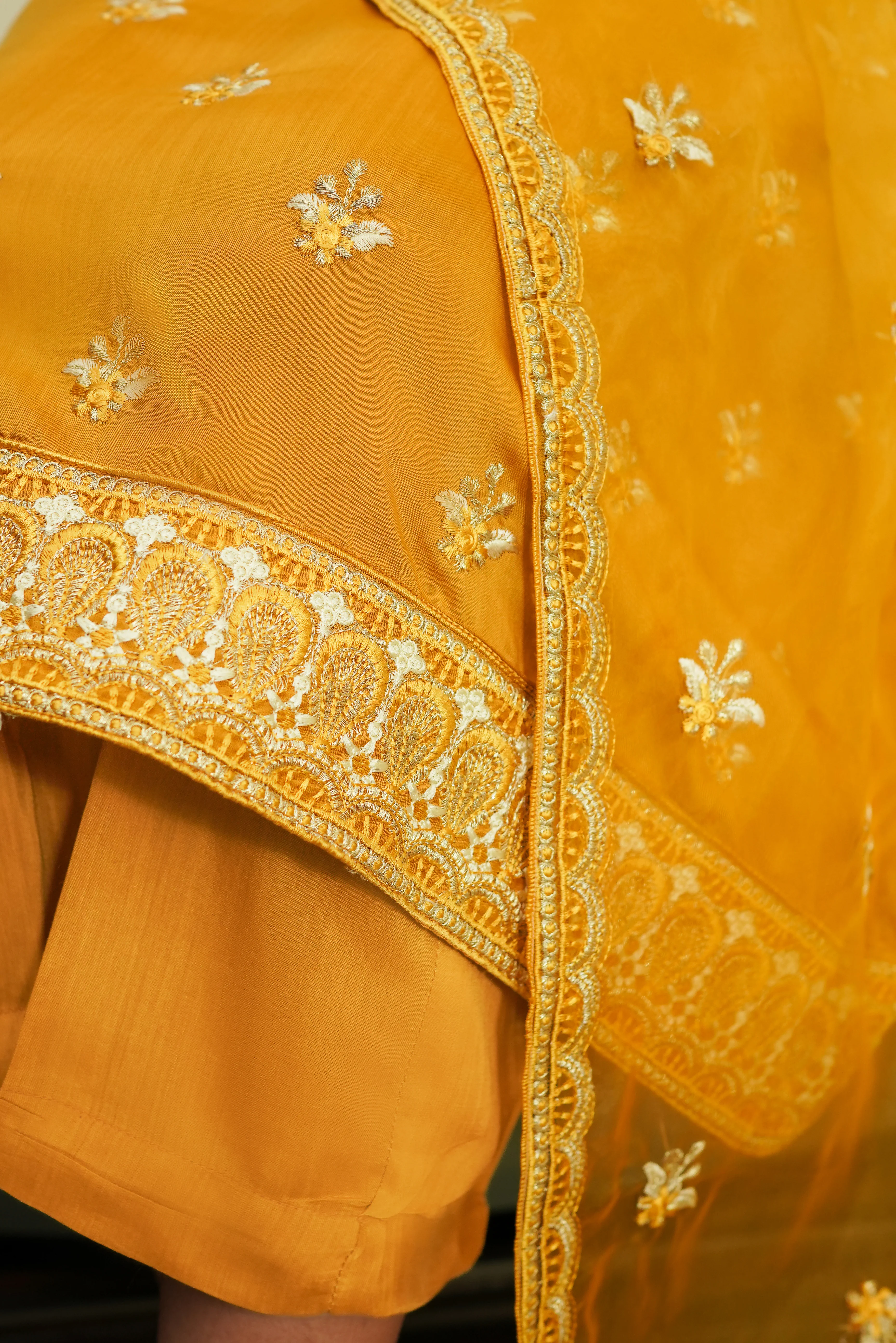 Chandni - Image 5