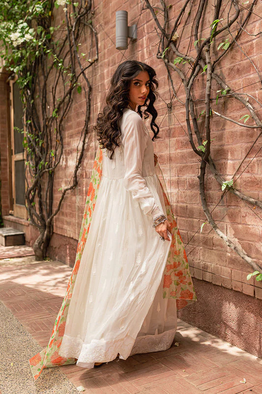 Jahanara Dupatta - Image 4